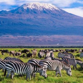 ParqueNacional_Amboseli